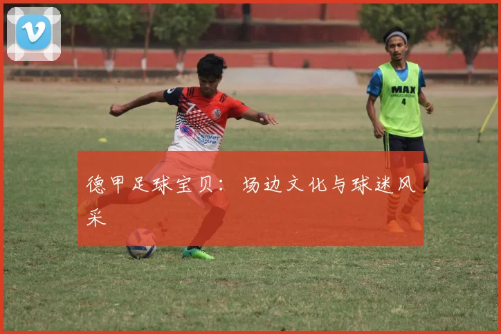 德甲足球宝贝：场边文化与球迷风采
